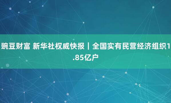 豌豆财富 新华社权威快报｜全国实有民营经济组织1.85亿户