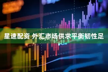 星速配资 外汇市场供求平衡韧性足