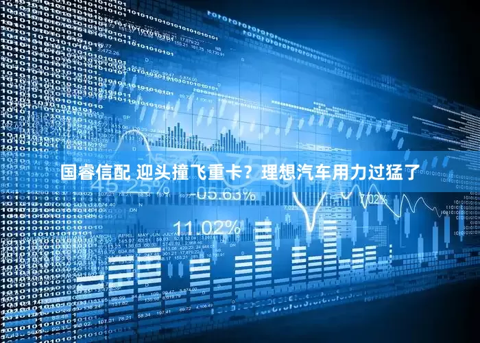 国睿信配 迎头撞飞重卡？理想汽车用力过猛了