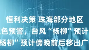 恒利决策 珠海部分地区升级暴雨红色预警，台风“杨柳”预计傍晚前后移出广东