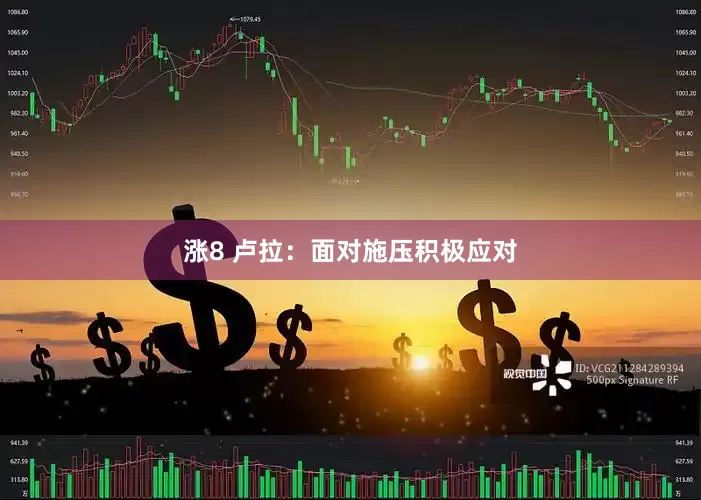 涨8 卢拉：面对施压积极应对