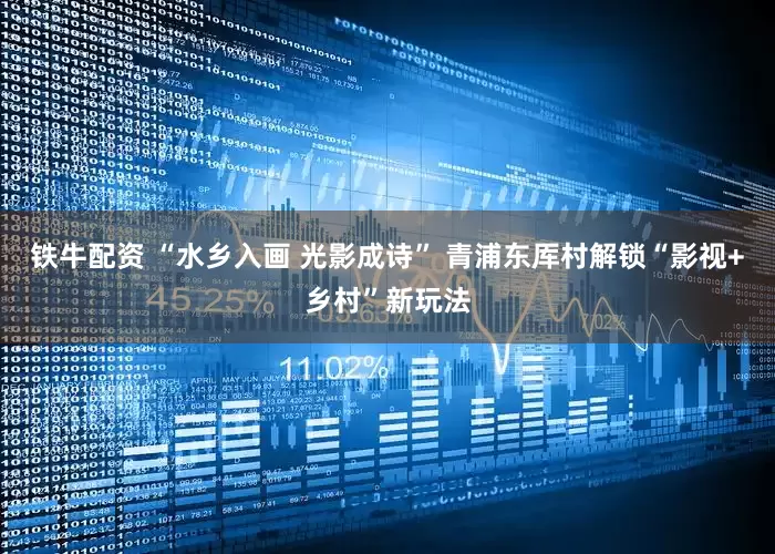 铁牛配资 “水乡入画 光影成诗” 青浦东厍村解锁“影视+乡村”新玩法